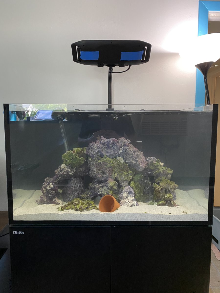 Build Thread - Christian's Red Sea Reefer 250 G2 | REEF2REEF Saltwater ...