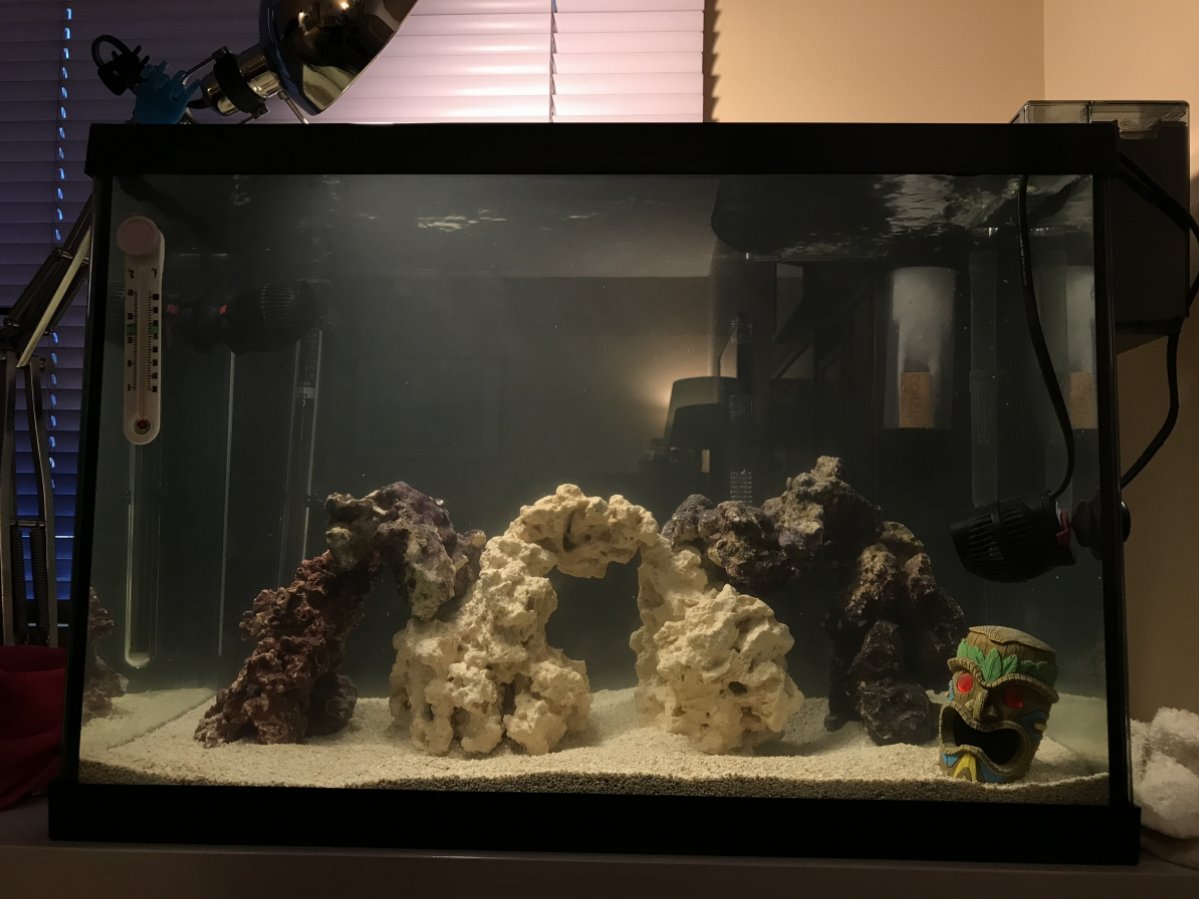 What is the best way to glue your live rock? | REEF2REEF Saltwater and Reef  Aquarium Forum