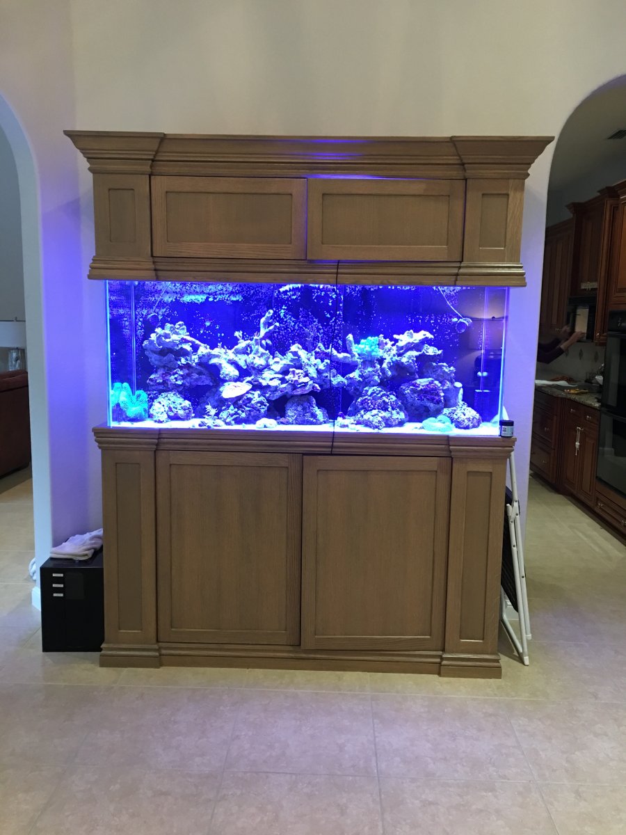 Florida - 180 Gallon Custom Reef for Sale | Reef2Reef