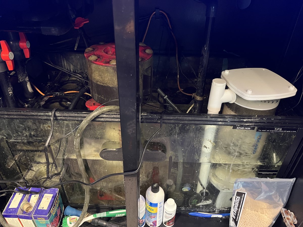 Media Reactor / Before and After w/ sump | Reef2Reef