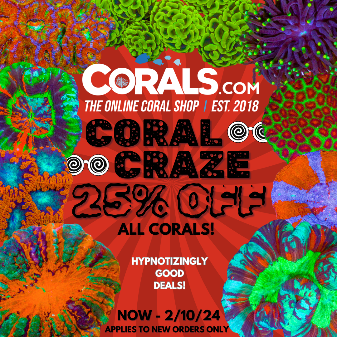 Insta Coral Craze 2.24.png