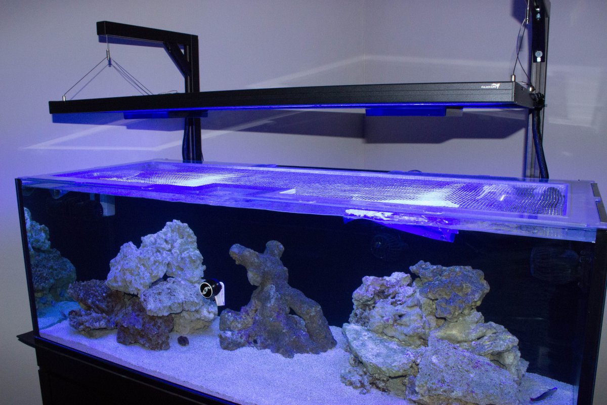 Mounting options for Aquatic Life 61-inch hybrid T5HO fixture | REEF2REEF  Saltwater and Reef Aquarium Forum