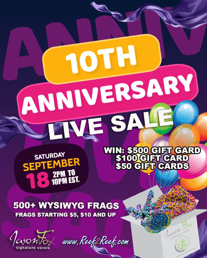 live sale poster.jpg