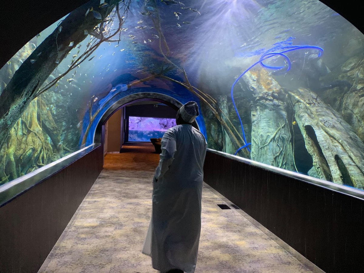 oman-muscat-mall-aquarium-orphek-led-lighting-.jpeg