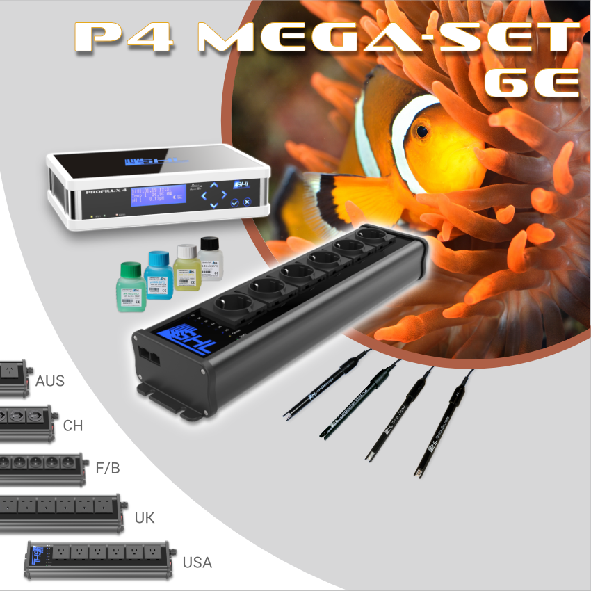 P4 Mega-Set 6E(1).png
