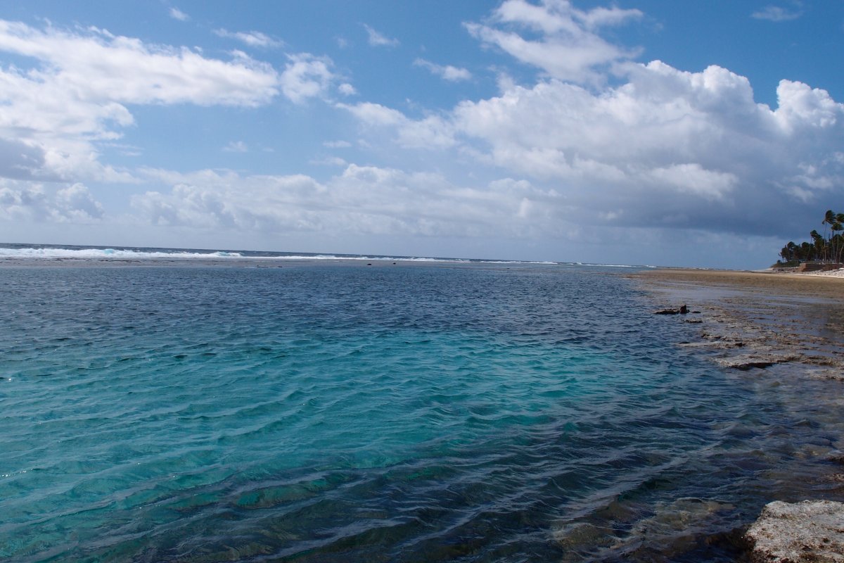 Marshall Island Rock Discussion about Radiation | Page 4 | Reef2Reef