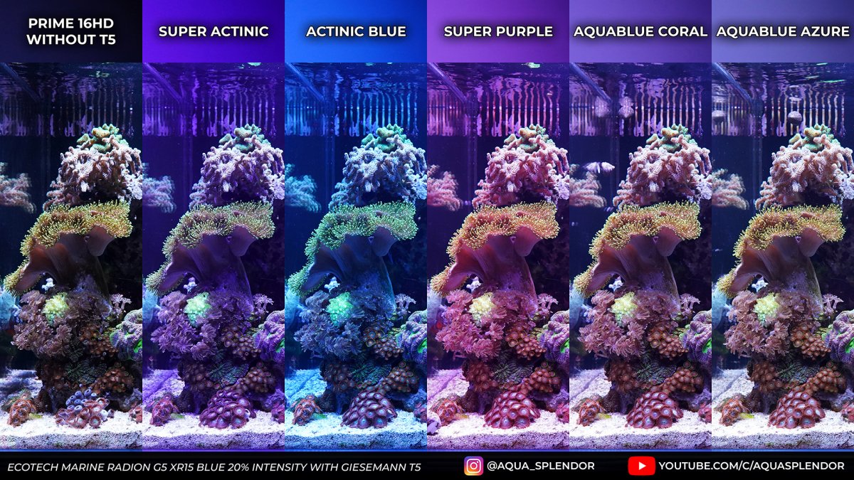 Video) Aqua Illumination Prime 16HD + Giesemann T5 = All combination  possible | REEF2REEF Saltwater and Reef Aquarium Forum