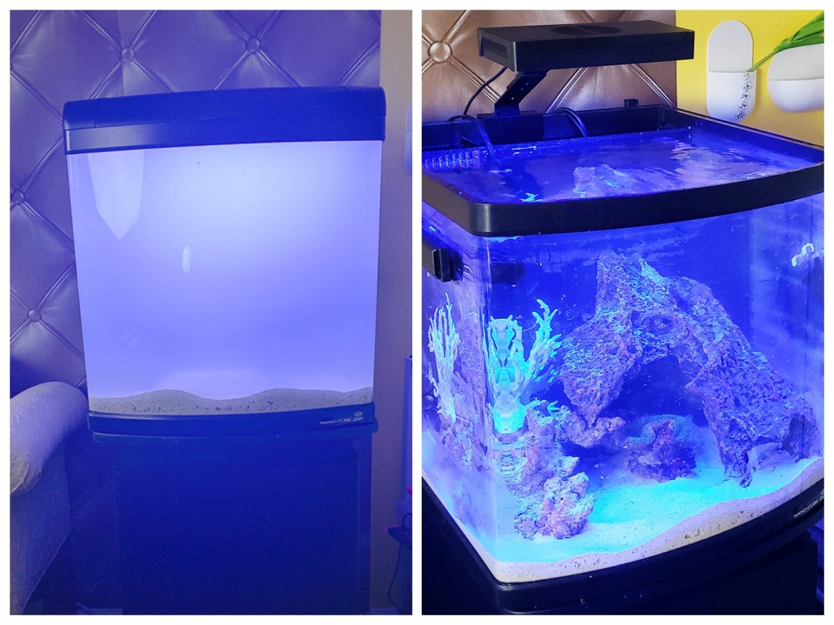 Nano Build - First JBJ Delux 24 Nano Cube Review, modification & Thoughts  as a new reef hobblist | REEF2REEF Saltwater and Reef Aquarium Forum
