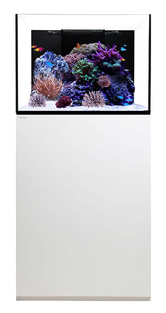Reef-70.2-Waterbox-Aquarium-70-gallons-White-99.jpg