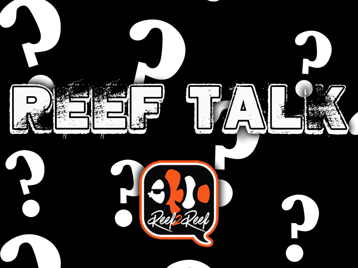 Reef Talk .png