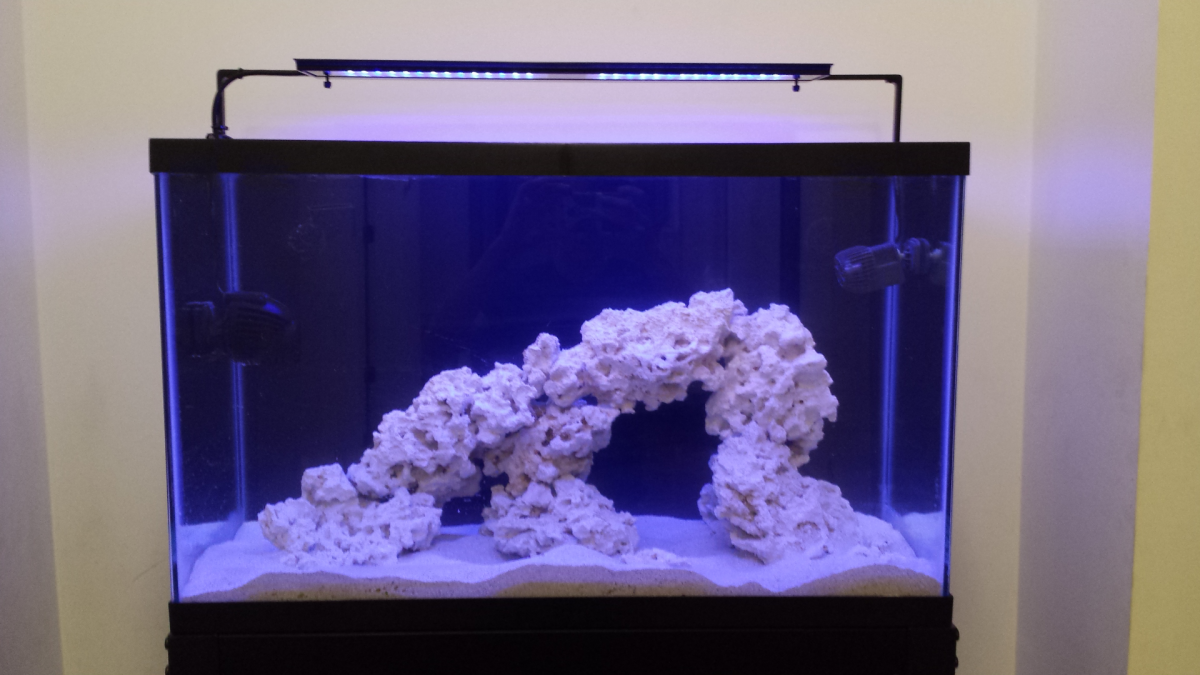 20 gallon nano aquascape | REEF2REEF Saltwater and Reef Aquarium Forum