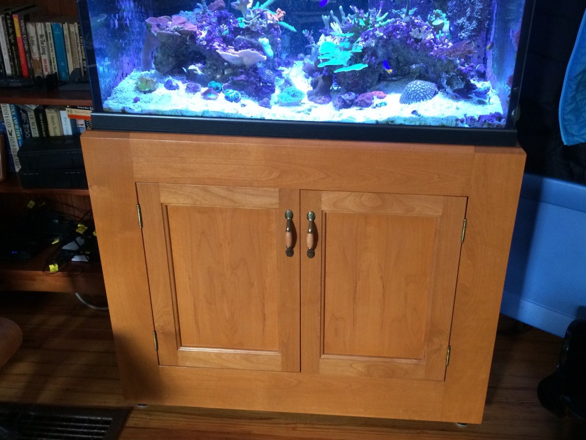 Doors on Steel Stand? Let me see yours!!! | REEF2REEF Saltwater and ...