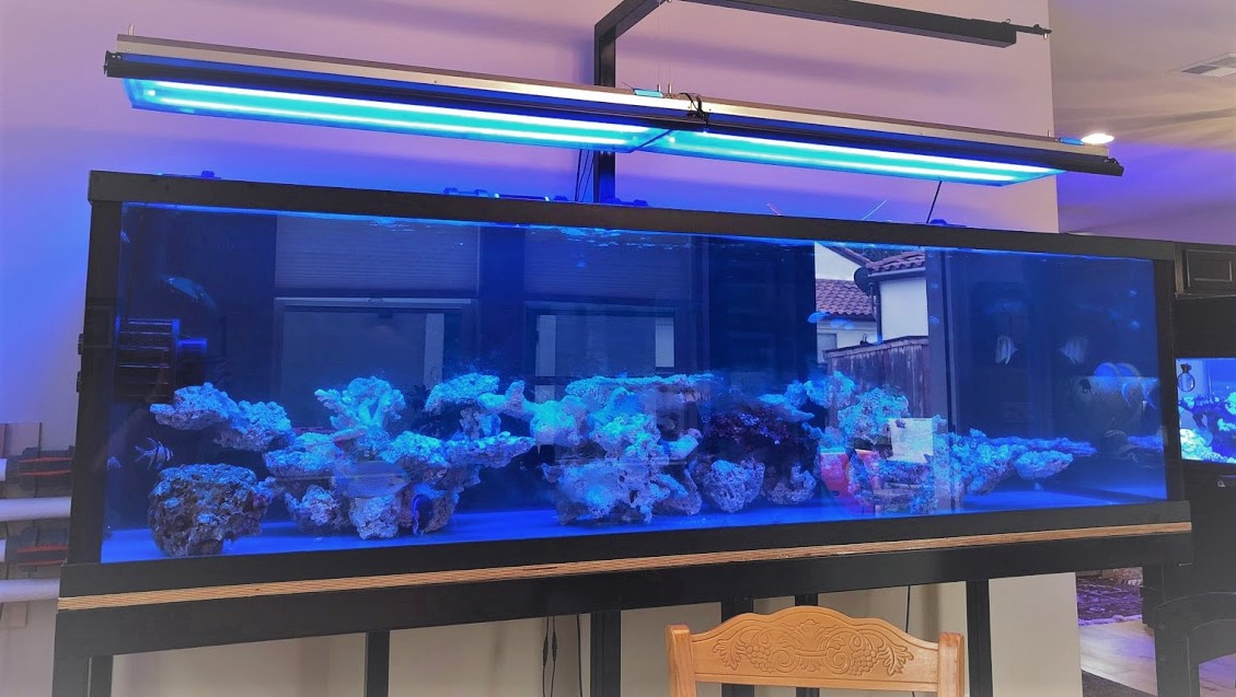 ATI Straton LED Light - Comments, Review, PAR, Coverage, Discuss... |  REEF2REEF Saltwater and Reef Aquarium Forum