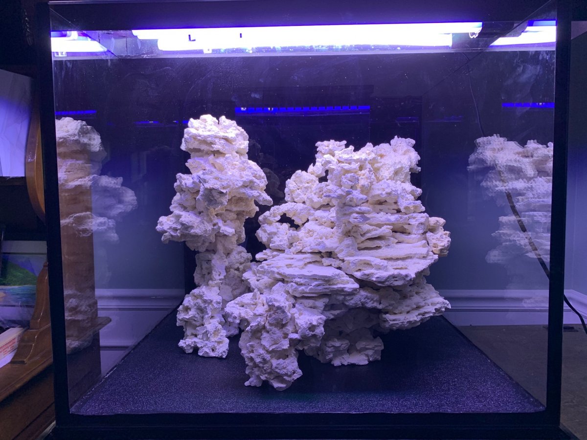 Tank Scape - FRONT View - 6.7.2020.jpg