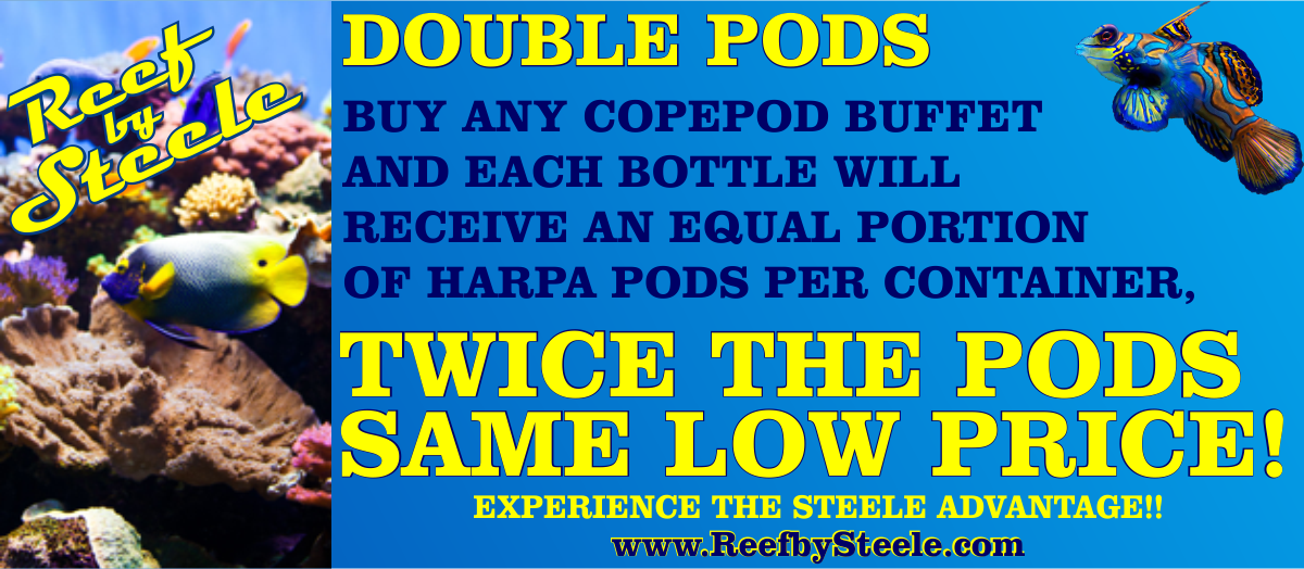 THREAD AD 2X PODS.png