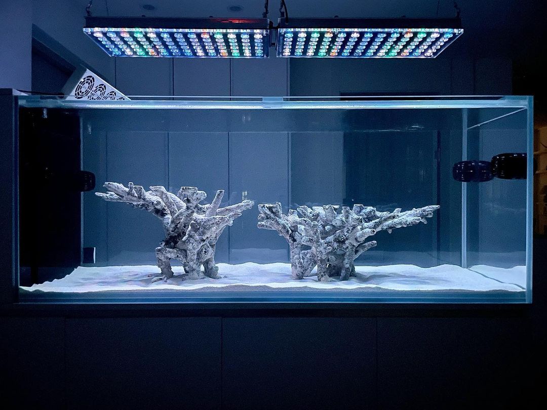 Intermediate Topic - Most beautiful aquascape reef tanks – Atlantik iCon  LED lighting | REEF2REEF Saltwater and Reef Aquarium Forum