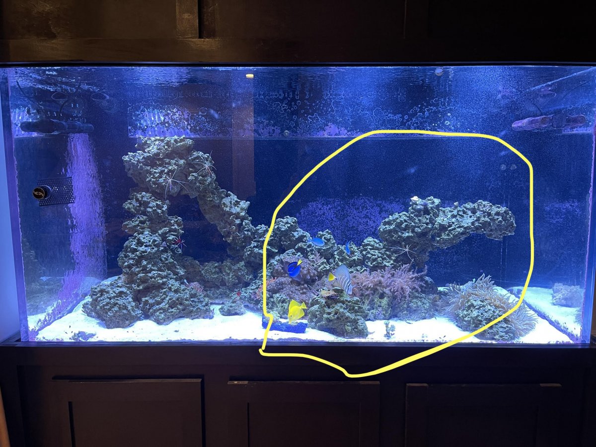 Is it possible to redo aquascape? | REEF2REEF Saltwater and Reef Aquarium  Forum
