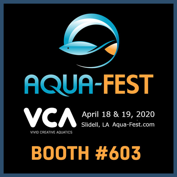 VCA-Aqua-fest-2020.jpg
