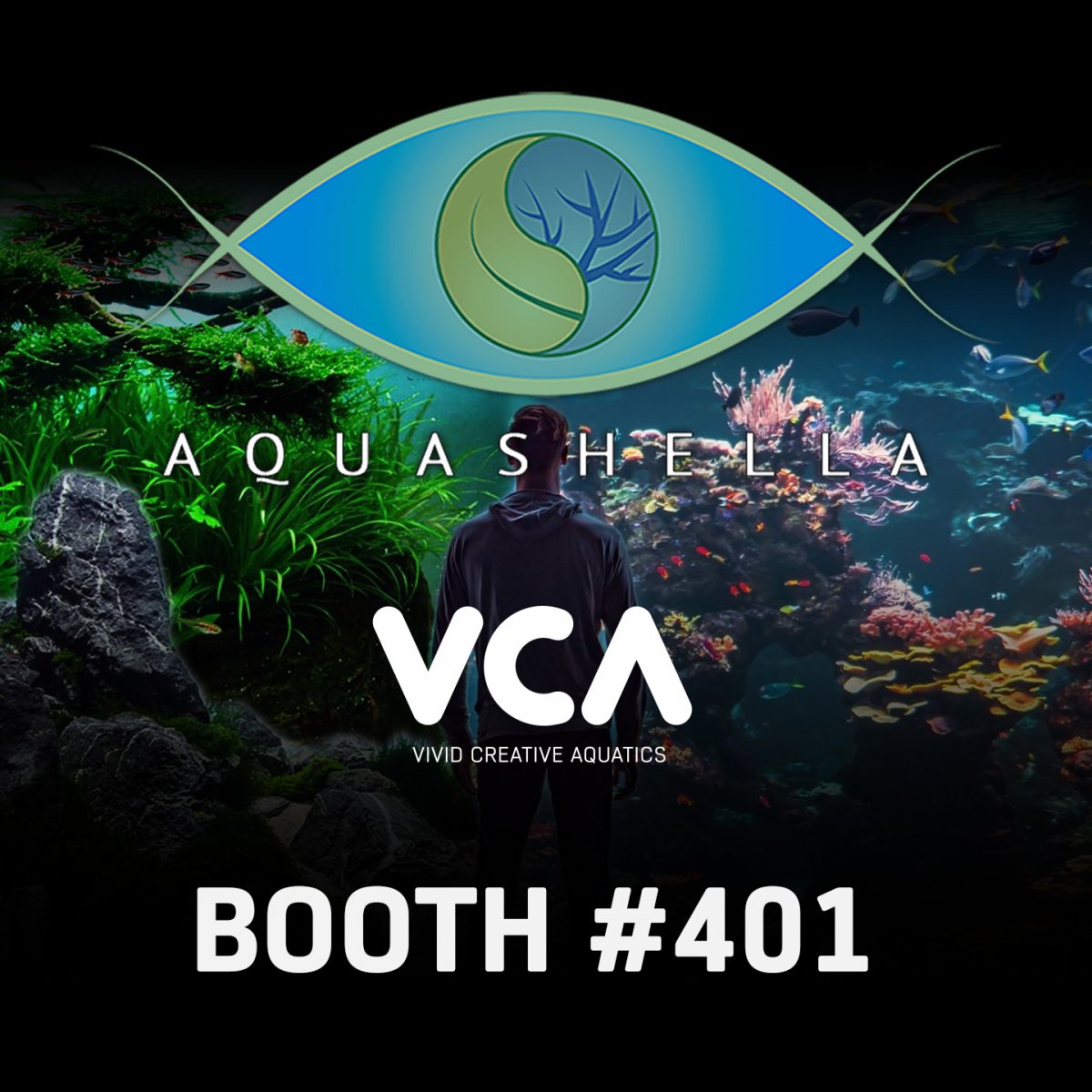 VCA-Aquashella-2020.jpg