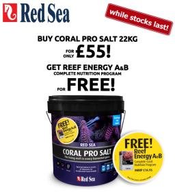 UK---CP-22kg-&-RE-A&B-(100ml-X-2)-promotion_While_Stocks_Last.jpg