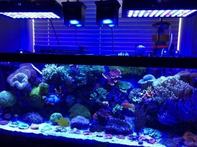 Would polyfil be safe for filtration  REEF2REEF Saltwater and Reef  Aquarium Forum