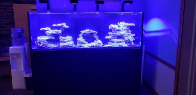 Large Build - Just For Fun Red Sea Reefer 3XL 900 | REEF2REEF Saltwater and  Reef Aquarium Forum