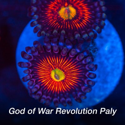 GOW-revolution-1200x1200.jpg
