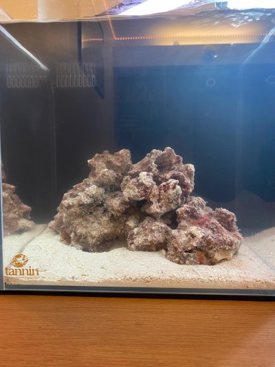 Nano Build - Caribbean Cubed *Live rock and FTS* | REEF2REEF Saltwater and  Reef Aquarium Forum