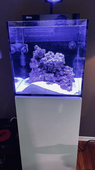 Build Thread - Chuck's Red Sea Max Nano Build REEF2REEF Saltwater and Reef