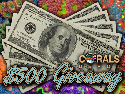 Corals Depot $500 Coral Giveaway and $250 to your favorite local fish store or online coral retailer