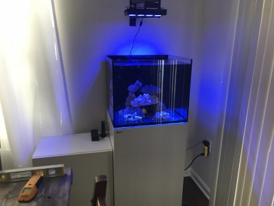 DIY LED Wall Mount! Check it out!