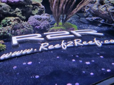 R2R Reef of the Month: Elder1945 - An Innovative Reefer's Spotlight - July 2018