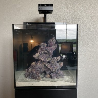 Red Sea Nano Max-Heater Placement | REEF2REEF Saltwater and Reef Aquarium  Forum