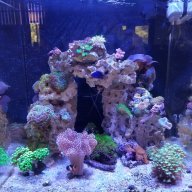 DI resin chamber won't fill all the way  REEF2REEF Saltwater and Reef  Aquarium Forum