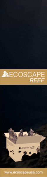 Ecoscape Reef Rock